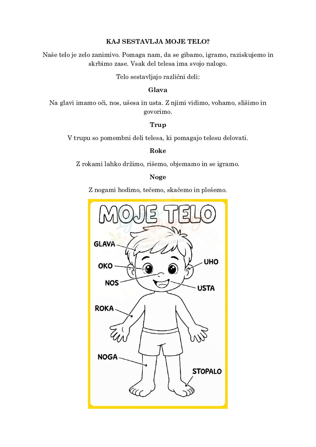 Spoznajmo svoje telo - slika 3