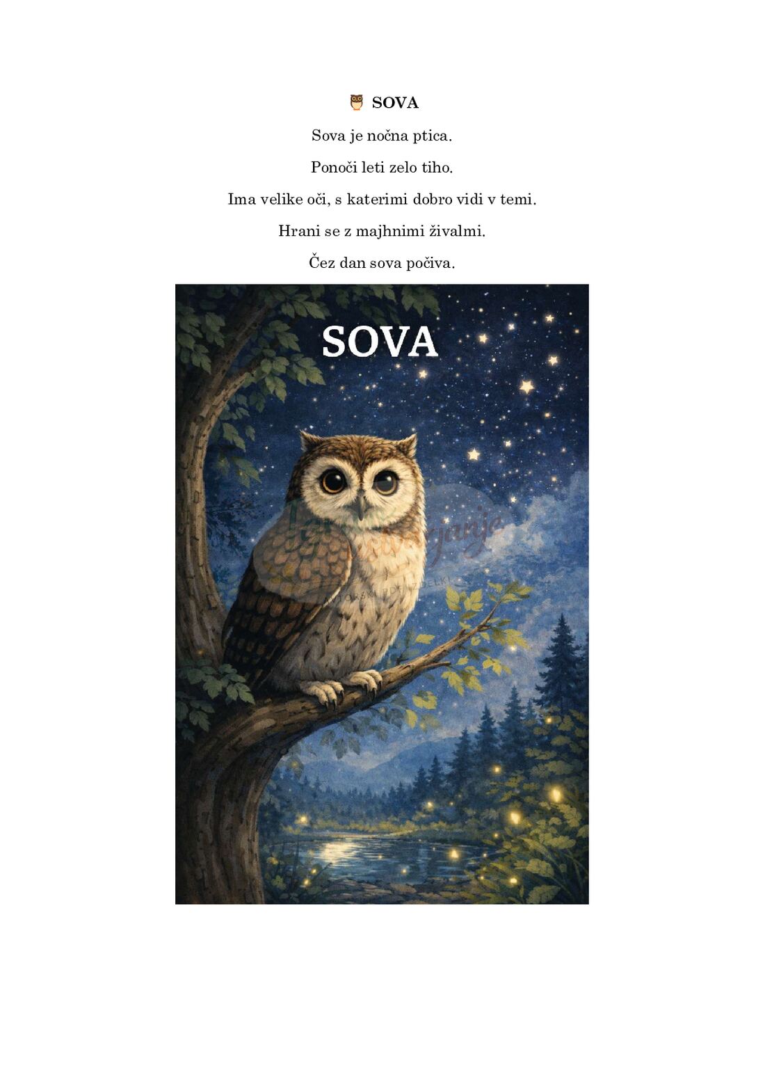Čarobna noč v naravvi - slika 3