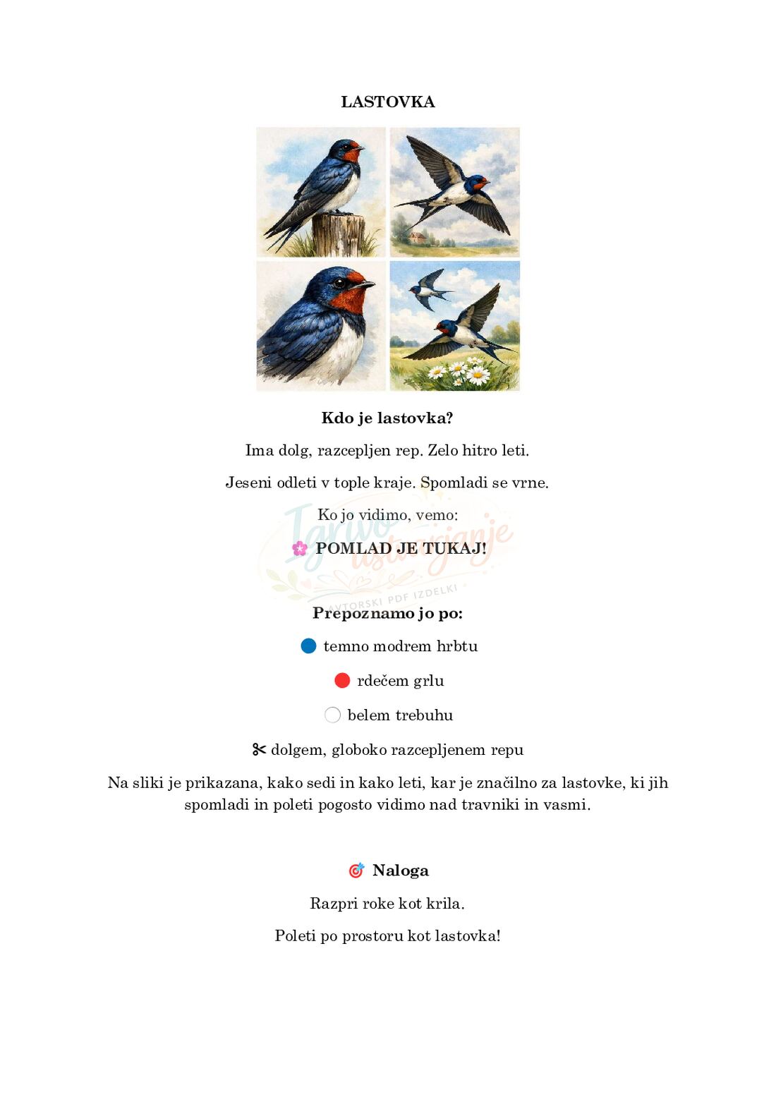 Ko žvrgolijo ptički – Ptice pomladi - slika 3