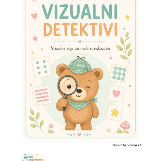 Vizualni detektivi
