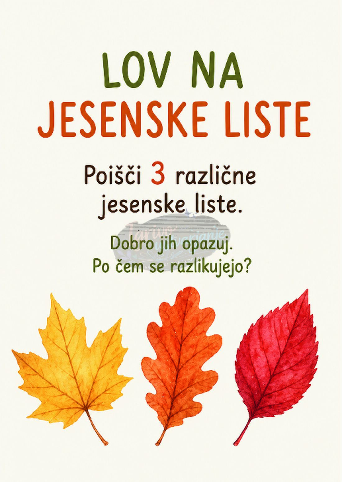 Jesenski izzivi - slika 3